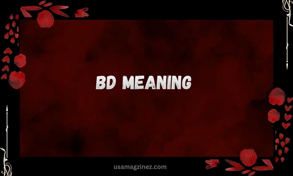 BD Meaning in Text 2026: Secret Slang Meanings Revealed