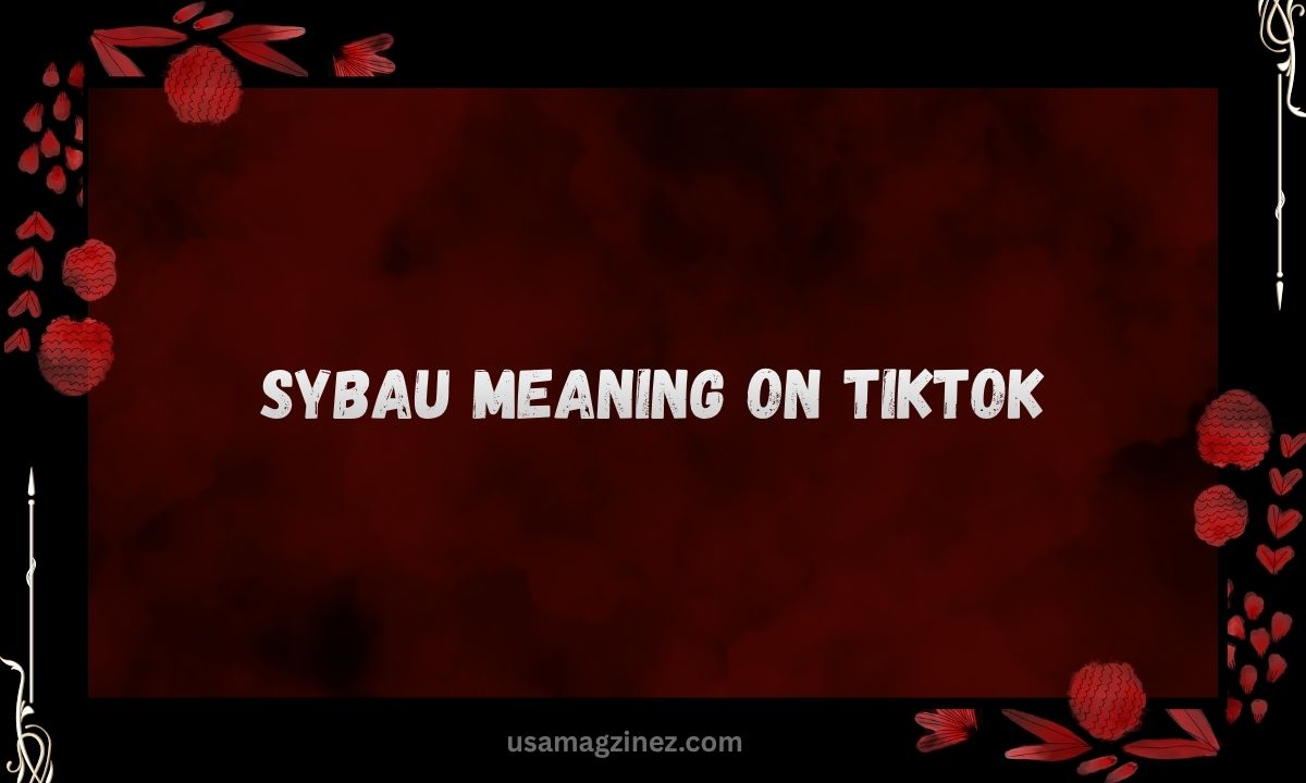 SYBAU Meaning on TikTok What Does It Really Mean